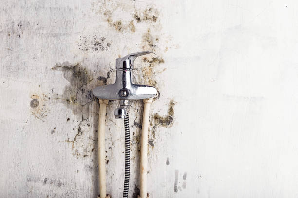 Best Residential Mold Remediation in Refugio, TX