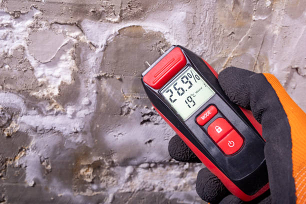 Best Mold Testing and Inspection Services in Refugio, TX