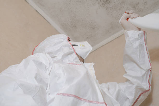 Best Bathroom Mold Remediation in Refugio, TX